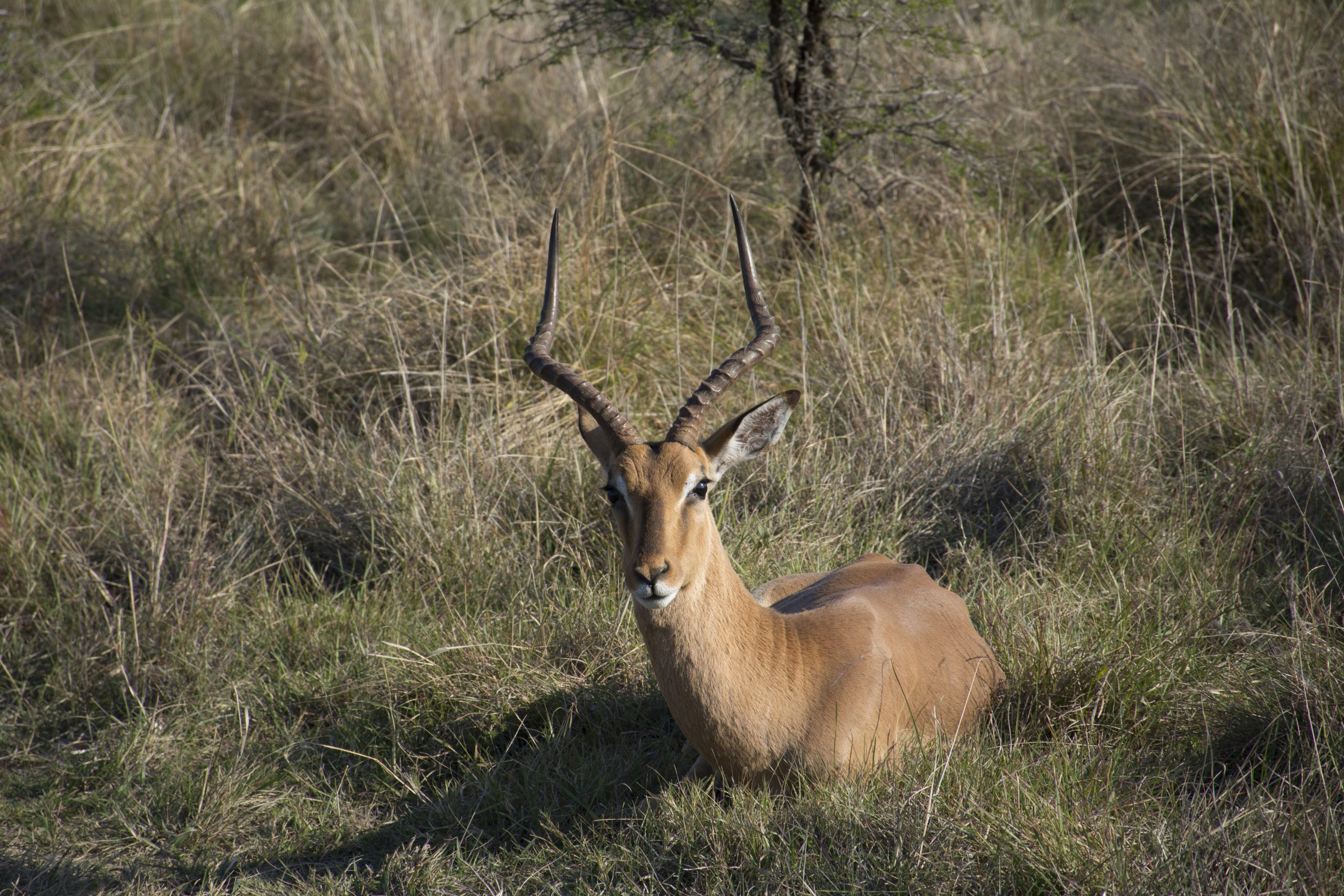 Ukhozi Lodge – Day 3 – Port Elizabeth, and the Canoeing Adventure