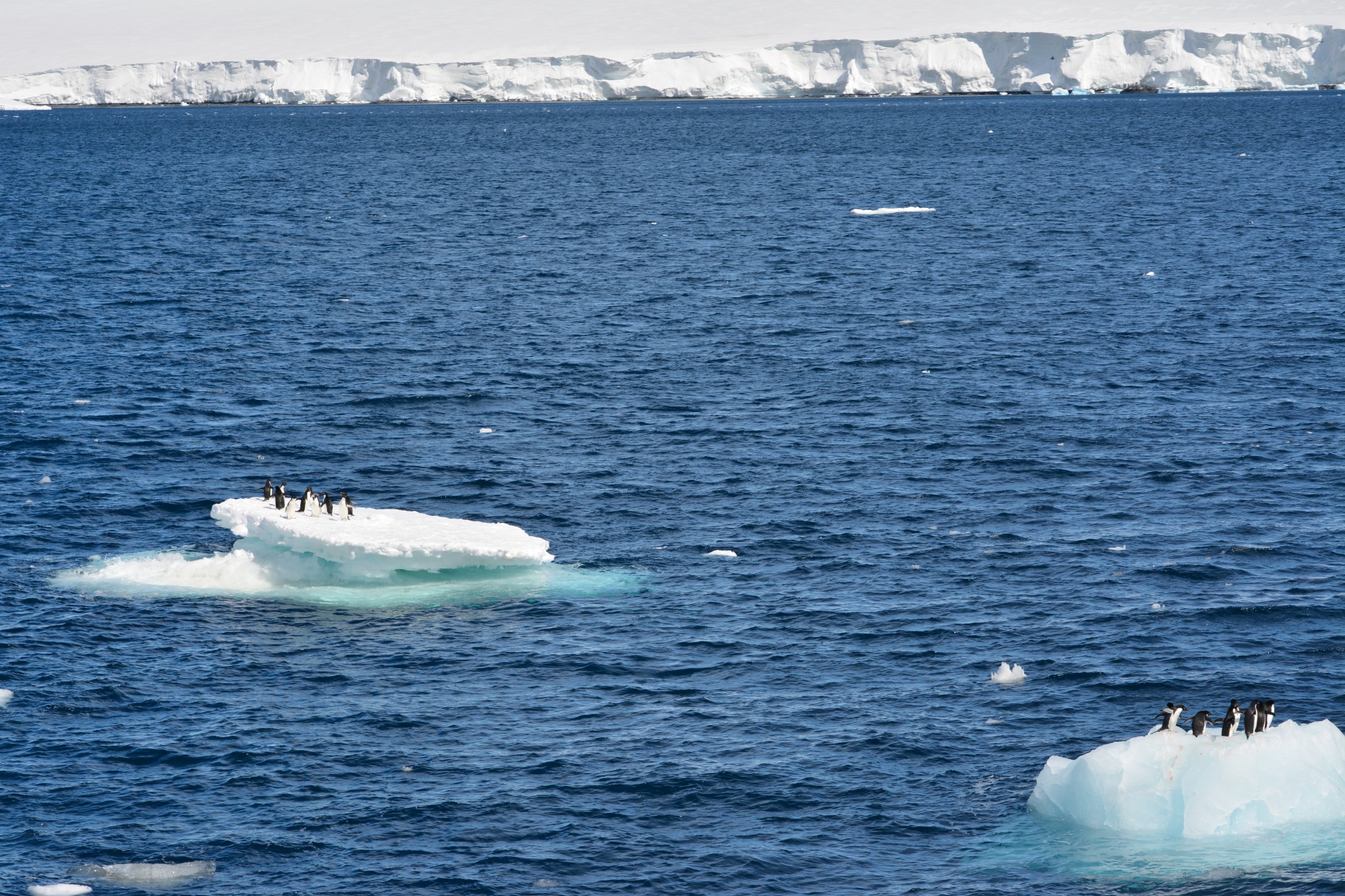 Leaving Antarctica, into the Drake (Day 12 – 12/3/2016)